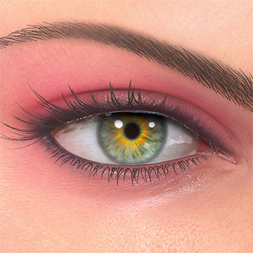 T_UI_CUS_CH_item_kgr_eye_sunflower