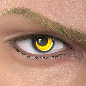 T_UI_CUS_CH_item_bsn_eye_moon