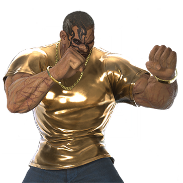 T_UI_CUS_CH_item_tgr_bdu_m_golden_style