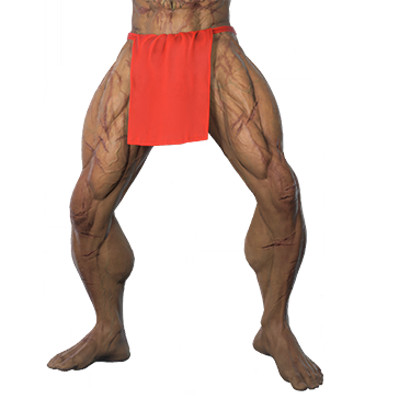T_UI_CUS_CH_item_tgr_btm_m_apron_loincloth