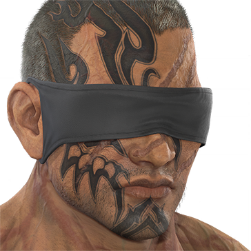 T_UI_CUS_CH_item_tgr_gla_blind