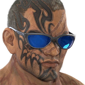 T_UI_CUS_CH_item_tgr_gla_nik_sunglasses