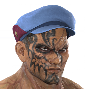 T_UI_CUS_CH_item_tgr_hed_baker_hat