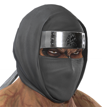 T_UI_CUS_CH_item_tgr_hed_m_ninja_hood