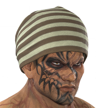 T_UI_CUS_CH_item_tgr_hed_stripe_knit