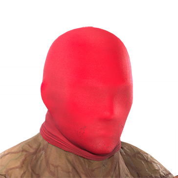 T_UI_CUS_CH_item_tgr_hef_fullmask