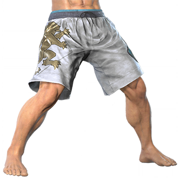 T_UI_CUS_CH_item_lzd_btm_swimsuit
