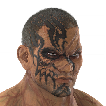 T_UI_CUS_CH_item_tgr_fah_1p
