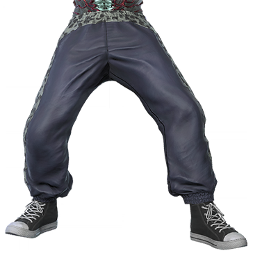 T_UI_CUS_CH_item_cml_btm_m_pants_aku