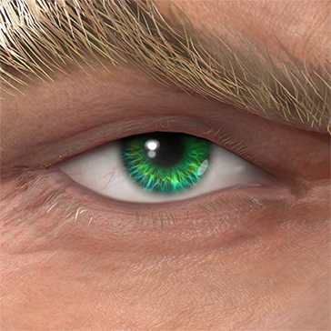 T_UI_CUS_CH_item_grf_eye_contacts_green