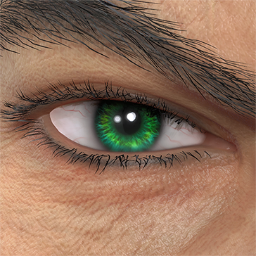 T_UI_CUS_CH_item_pig_eye_contacts_green