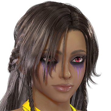 T_UI_CUS_CH_item_wkz_fap_f_endbiker