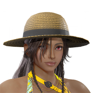 T_UI_CUS_CH_item_wkz_hed_straw_hat_round