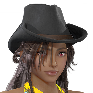 T_UI_CUS_CH_item_wkz_hed_tengallon