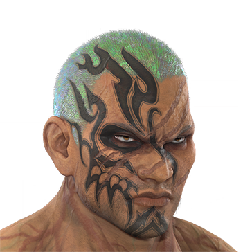 T_UI_CUS_CH_item_tgr_har_1p_aurora