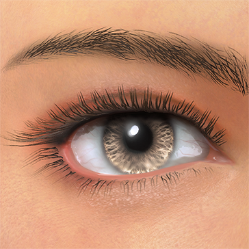 T_UI_CUS_CH_item_aml_eye_contacts_brown