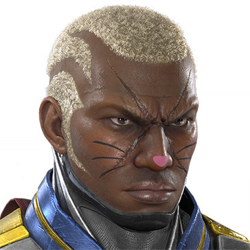 T_UI_CUS_CH_item_bbn_fap_catmake-1