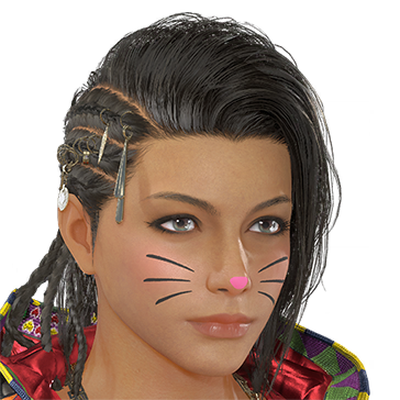 T_UI_CUS_CH_item_cat_fap_catmake-1