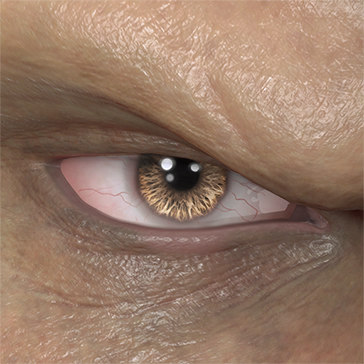 T_UI_CUS_CH_item_ccn_eye_contacts_brown