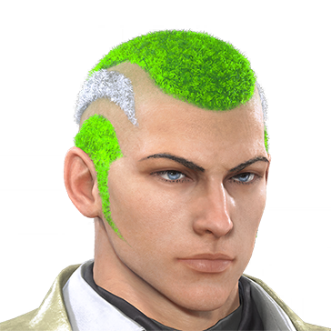 T_UI_CUS_CH_item_ctr_har_m_shaved_head