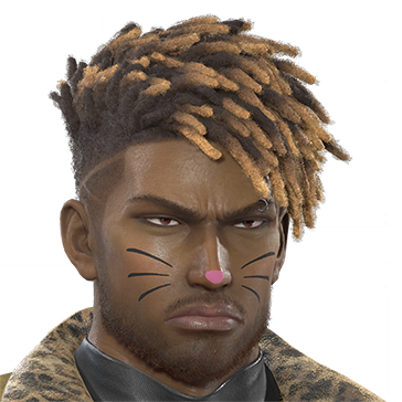 T_UI_CUS_CH_item_dog_fap_catmake