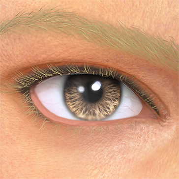 T_UI_CUS_CH_item_ghp_eye_contacts_brown-1