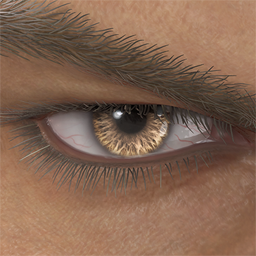 T_UI_CUS_CH_item_hrs_eye_contacts_brown-1
