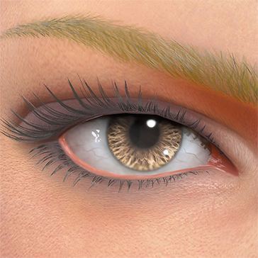 T_UI_CUS_CH_item_kal_eye_contacts_brown-1