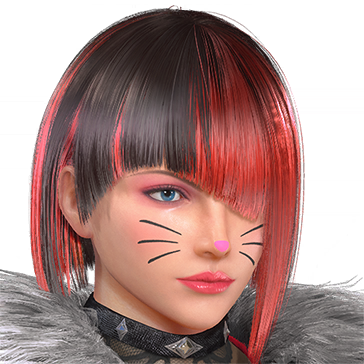 T_UI_CUS_CH_item_kgr_fap_catmake-1