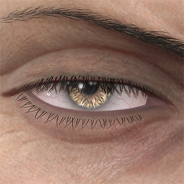 T_UI_CUS_CH_item_kmd_eye_contacts_brown-1