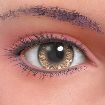 T_UI_CUS_CH_item_mnt_eye_contacts_brown