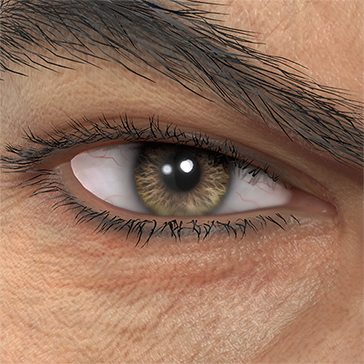 T_UI_CUS_CH_item_pig_eye_contacts_brown-1