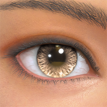 T_UI_CUS_CH_item_rat_eye_contacts_brown-1