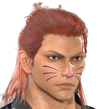 T_UI_CUS_CH_item_snk_fap_catmake