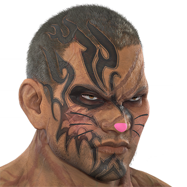 T_UI_CUS_CH_item_tgr_fap_catmake-1