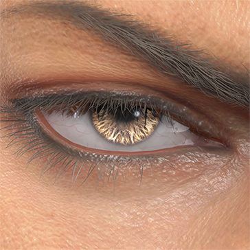 T_UI_CUS_CH_item_wlf_eye_contacts_brown