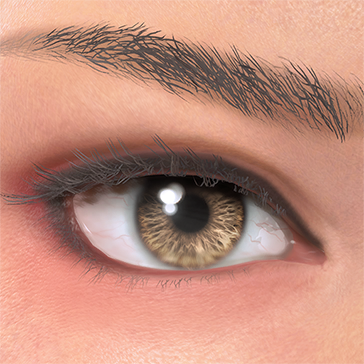 T_UI_CUS_CH_item_zbr_eye_contacts_brown