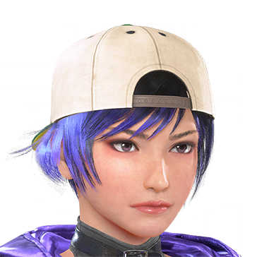 T_UI_CUS_CH_item_zbr_hed_flatbrimcap_back