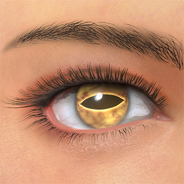 T_UI_CUS_CH_item_aml_eye_toad