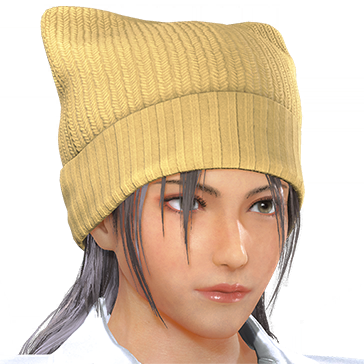 T_UI_CUS_CH_item_aml_hed_knithat_catear