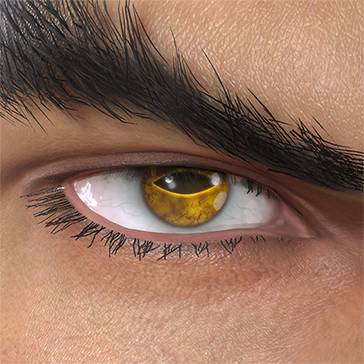 T_UI_CUS_CH_item_ant_eye_toad