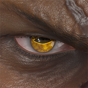 T_UI_CUS_CH_item_bbn_eye_toad