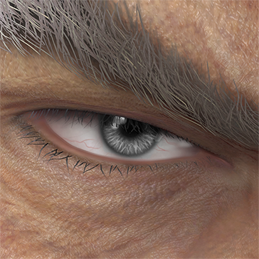 T_UI_CUS_CH_item_bee_eye_contacts_gray