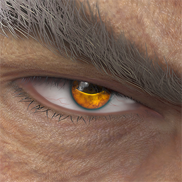 T_UI_CUS_CH_item_bee_eye_toad