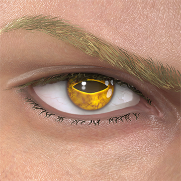 T_UI_CUS_CH_item_bsn_eye_toad