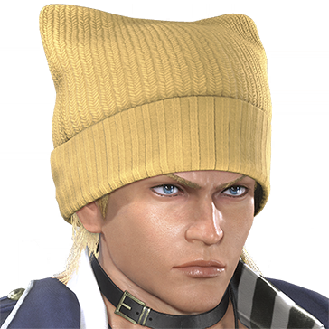 T_UI_CUS_CH_item_bsn_hed_knithat_catear