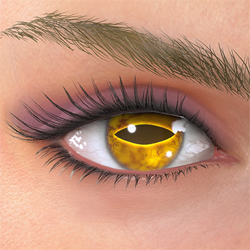 T_UI_CUS_CH_item_cbr_eye_toad