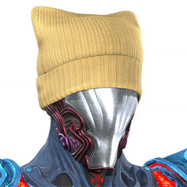 T_UI_CUS_CH_item_cml_hed_knithat_catear