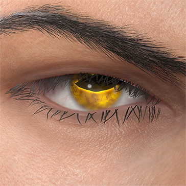 T_UI_CUS_CH_item_ctr_eye_toad