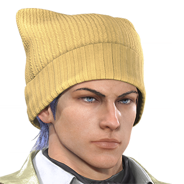 T_UI_CUS_CH_item_ctr_hed_knithat_catear